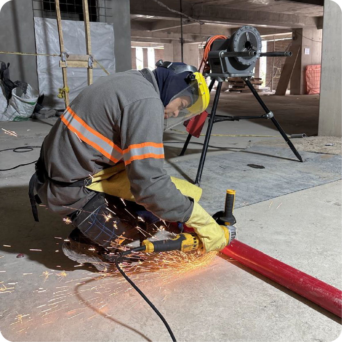 Proyecto: diagnóstico y análisis de requerimientos